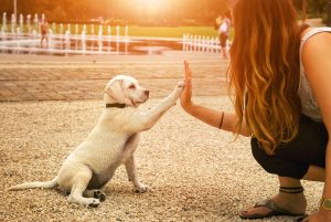 Woman and a puppy